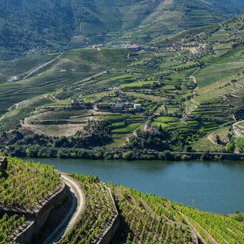 Porto Tours -  Tours - Walking Porto Tours