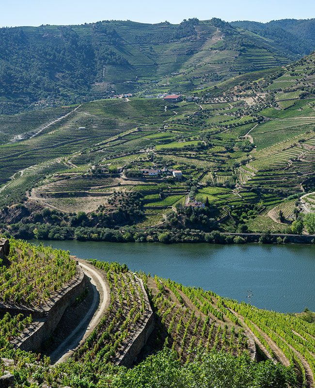 Porto Tours -  Tours - Walking Porto Tours