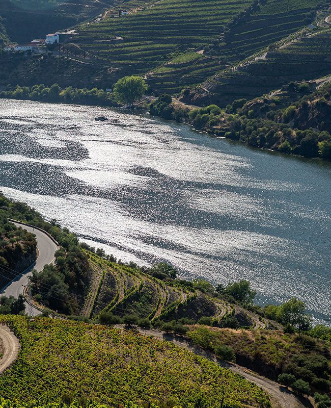 Porto Tours -  Tours - Walking Porto Tours