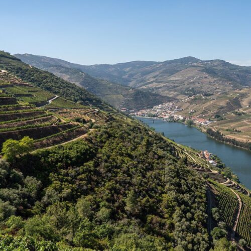 Porto Tours -  Tours - Walking Porto Tours