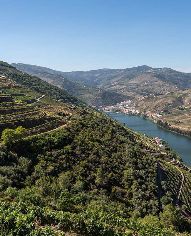 Porto Tours -  Tours - Walking Porto Tours