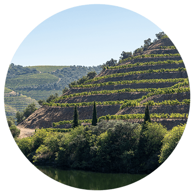 Porto Tours -  Tours - Walking Porto Tours