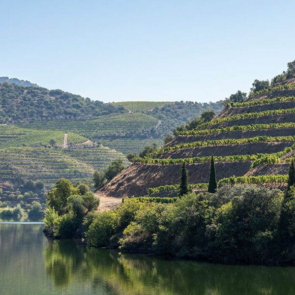 Porto Tours -  Tours - Walking Porto Tours Porto Tours -  Tours - Walking Porto Tours