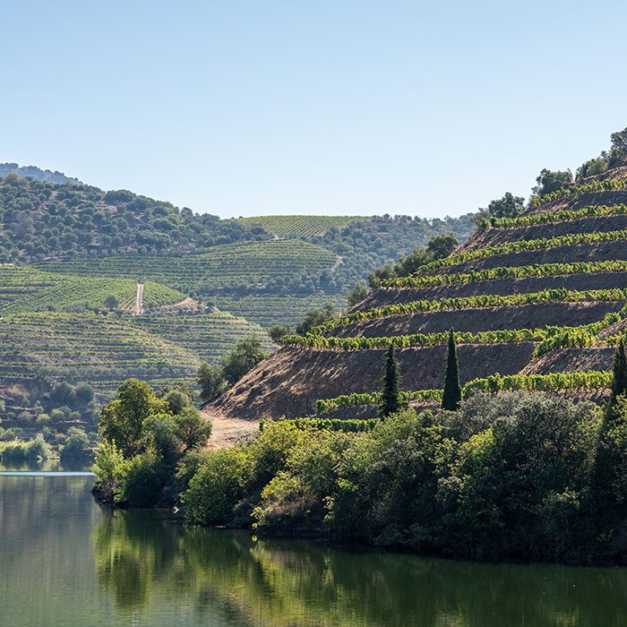 Porto Tours - Tours - Walking Porto Tours Porto Tours - Tours - Walking Porto Tours