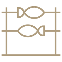 Porto Tours -  Tours - Walking Porto Tours