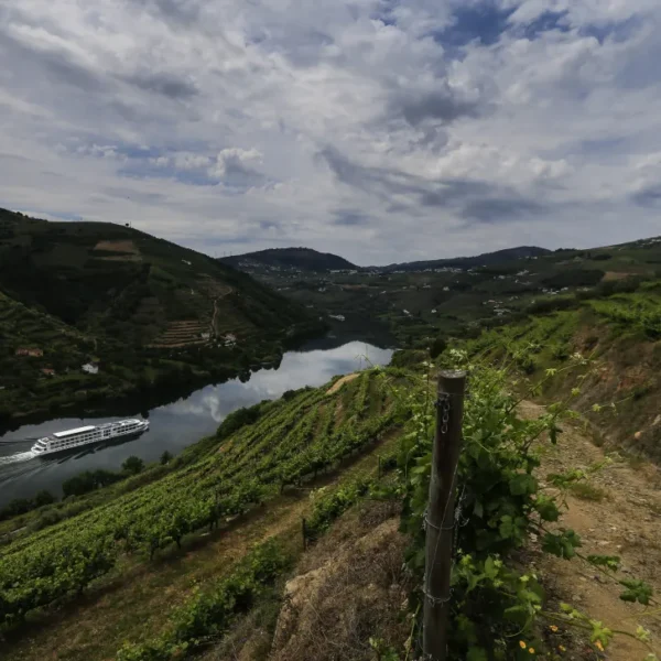 Douro Valley Tours Douro Valley Guided Tour in the Douro