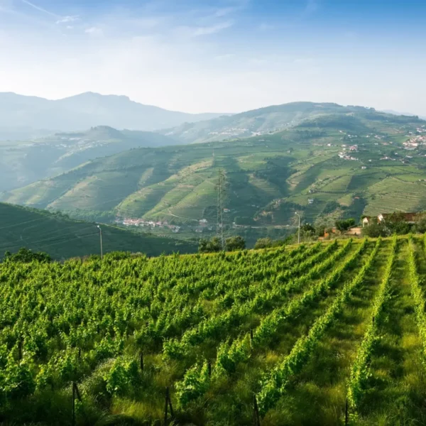 D1jwvt4a0y_o D1jwvt4a0y_o